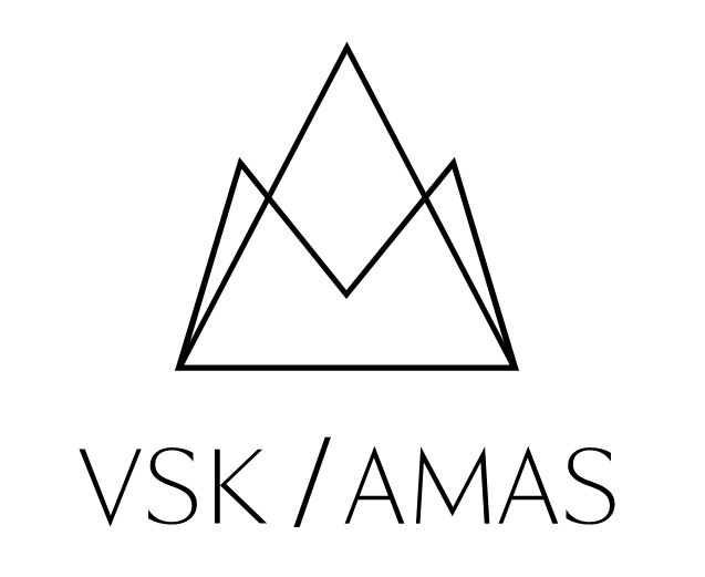 logotype vsk